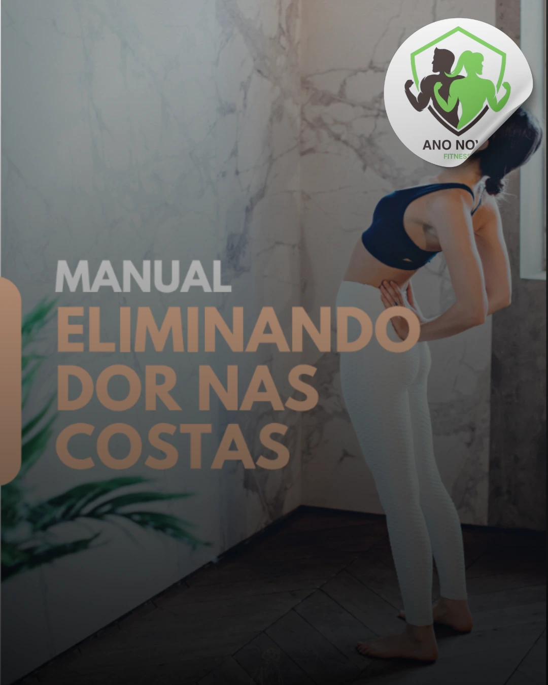 manual eliminando dor nas costas ano novo fitness